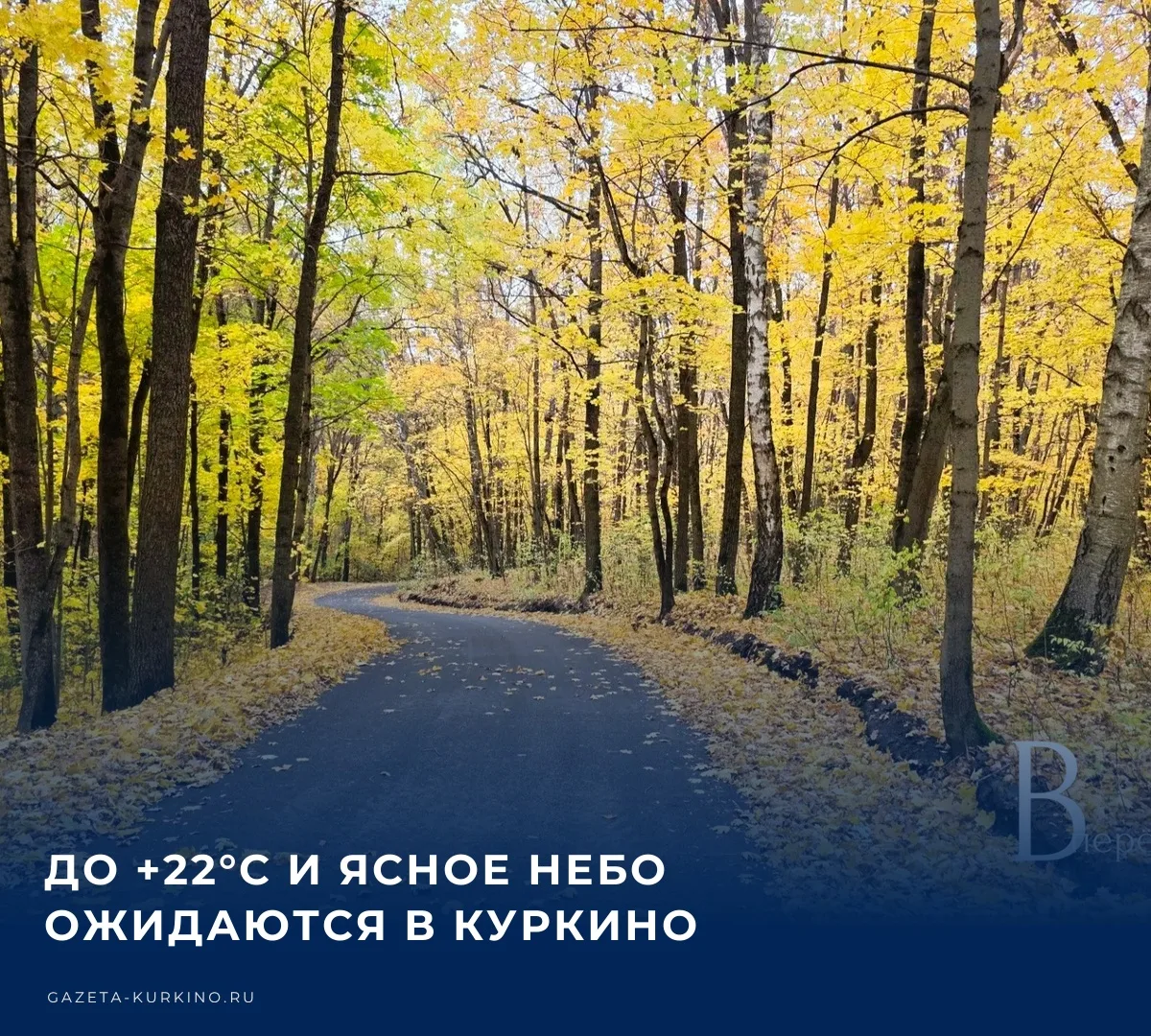 🌤️ В понедельник, 12 октября, в Куркино ожидается ясная погода без осадков. Днём возду...