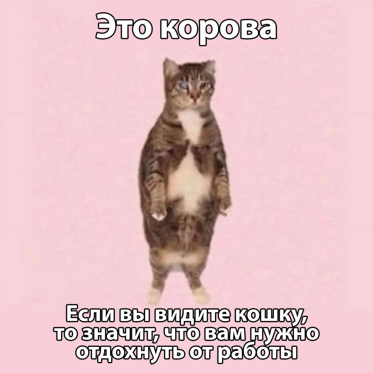 🤭Коллеги, не игнорируйте знаки судьбы