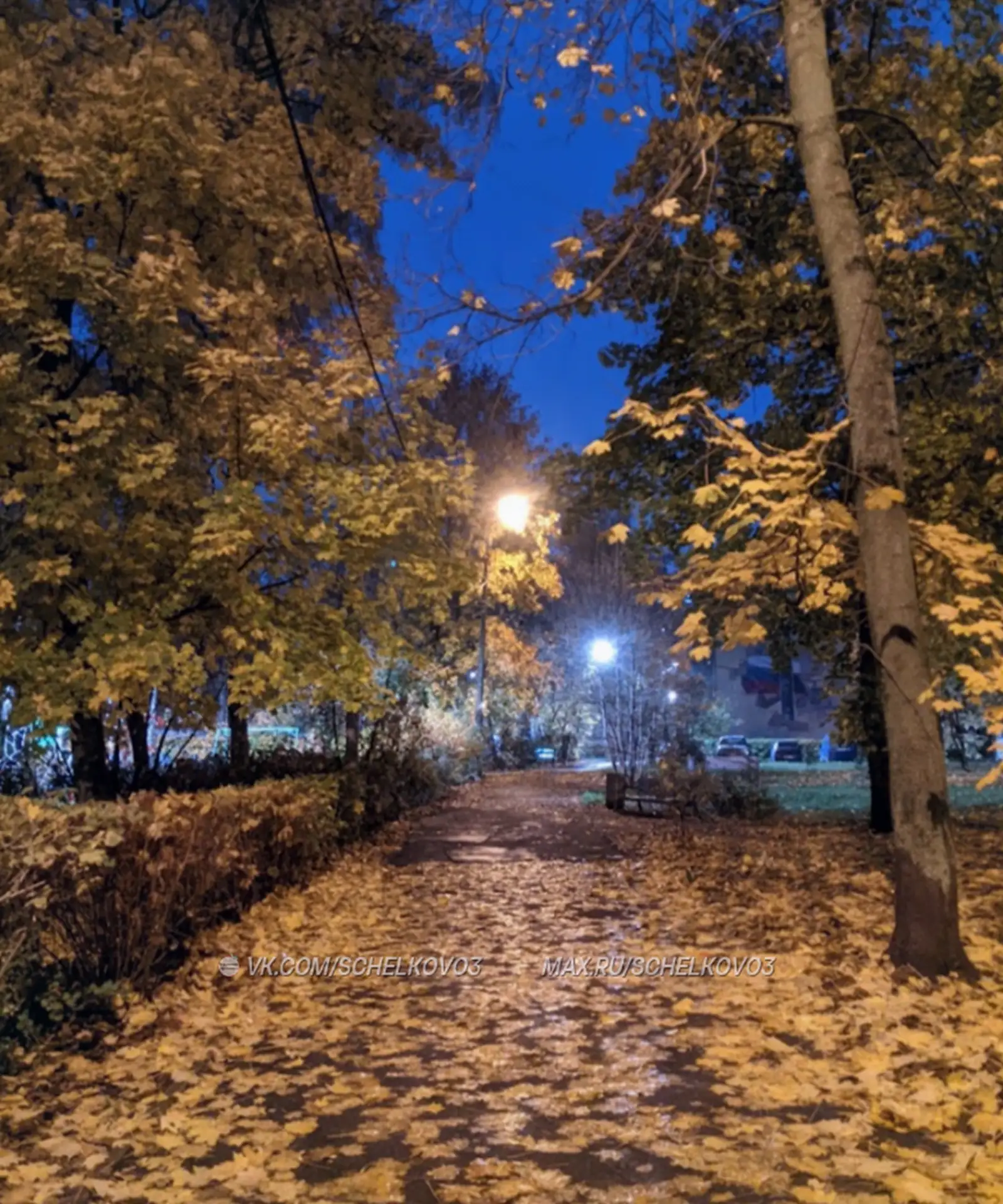 Осенний вечер в Чкаловском😍