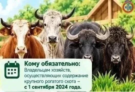 🐮 Владельцы ЛПХ, внимание!