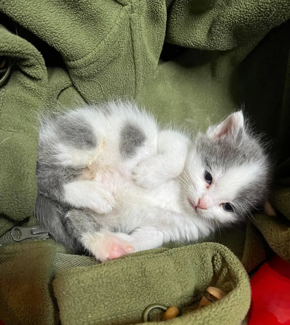 Доброй ночи 😴