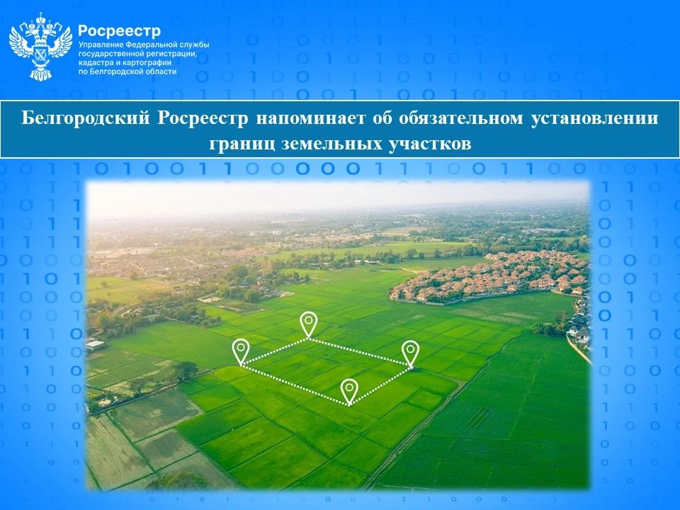 Без межевания не зарегистрировать: Росреестр напомнил правила оформления земли. С 1 мар...