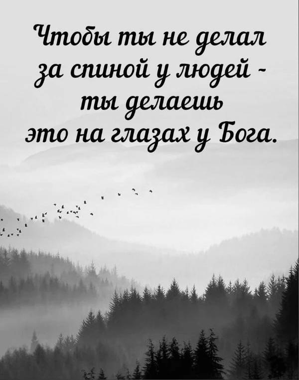 Мудрые Слова ✨