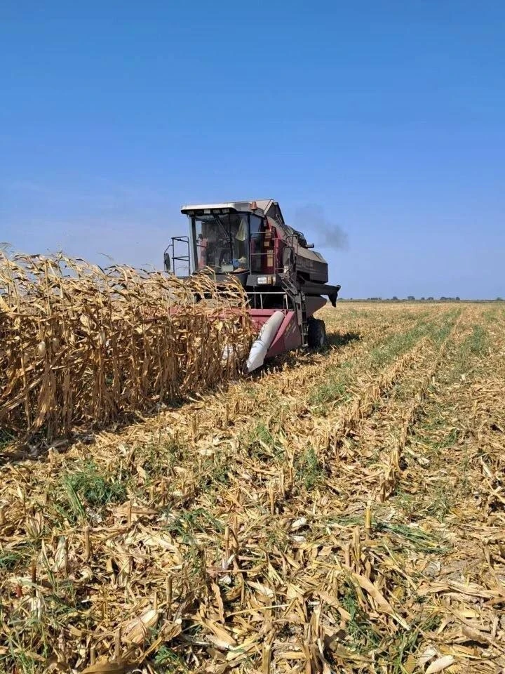 🌽 В Хасавюртовском районе