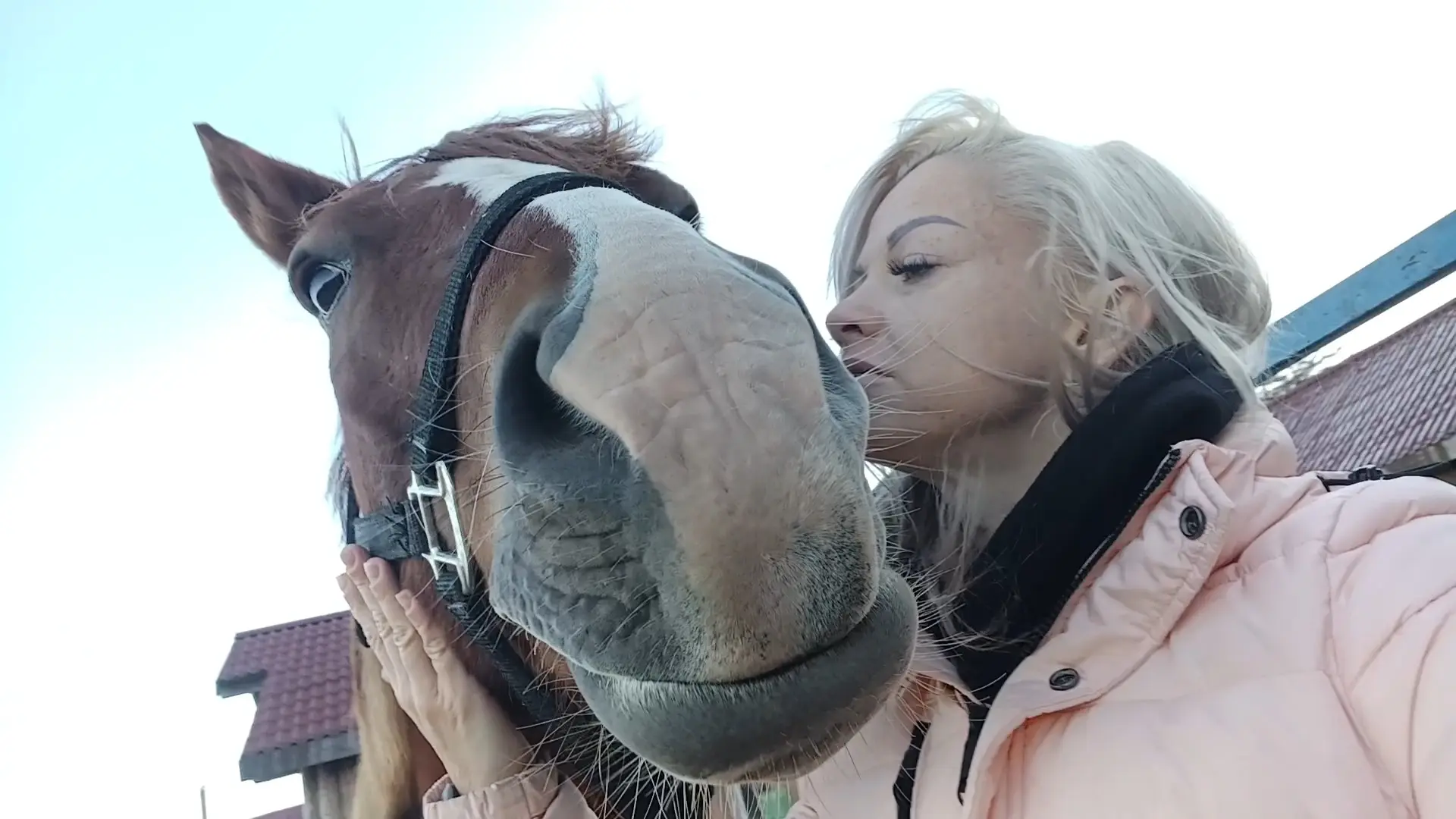 🐴❤️ Мое идеальное начало отпуска...