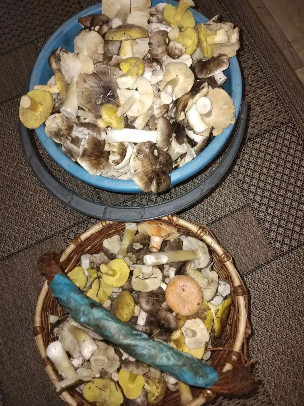 Авсюнино