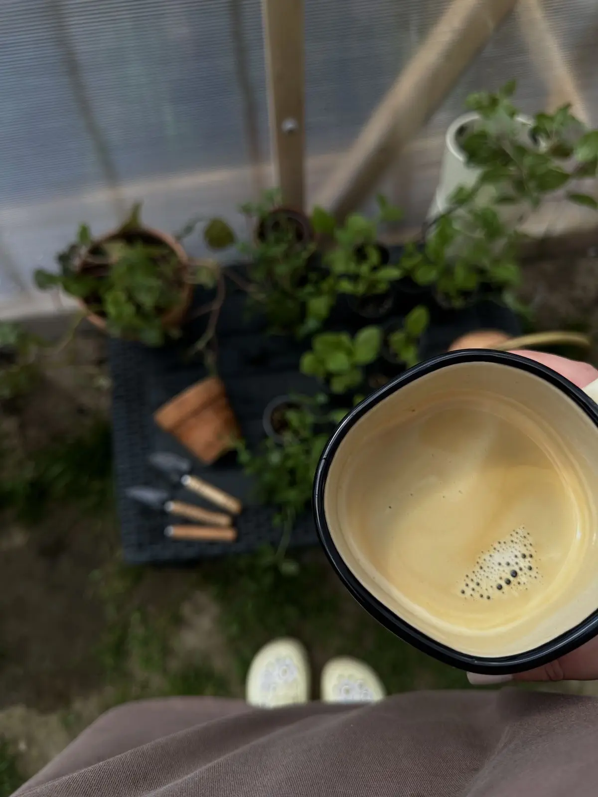 Доброе садовое утро ☕️🪴