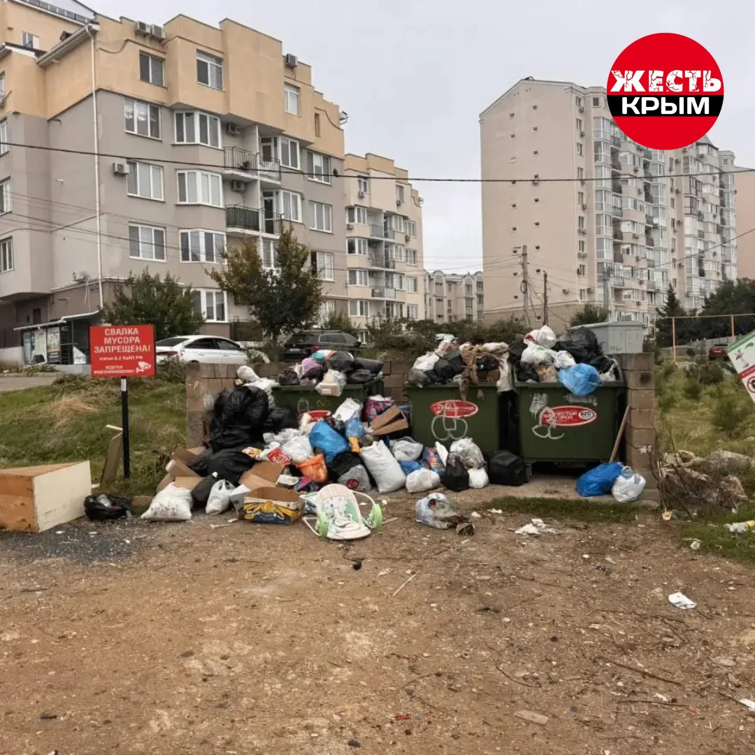 В Севастополе произошел сбой в системе вывоза твердых коммунальных отходов, из-за чего ...