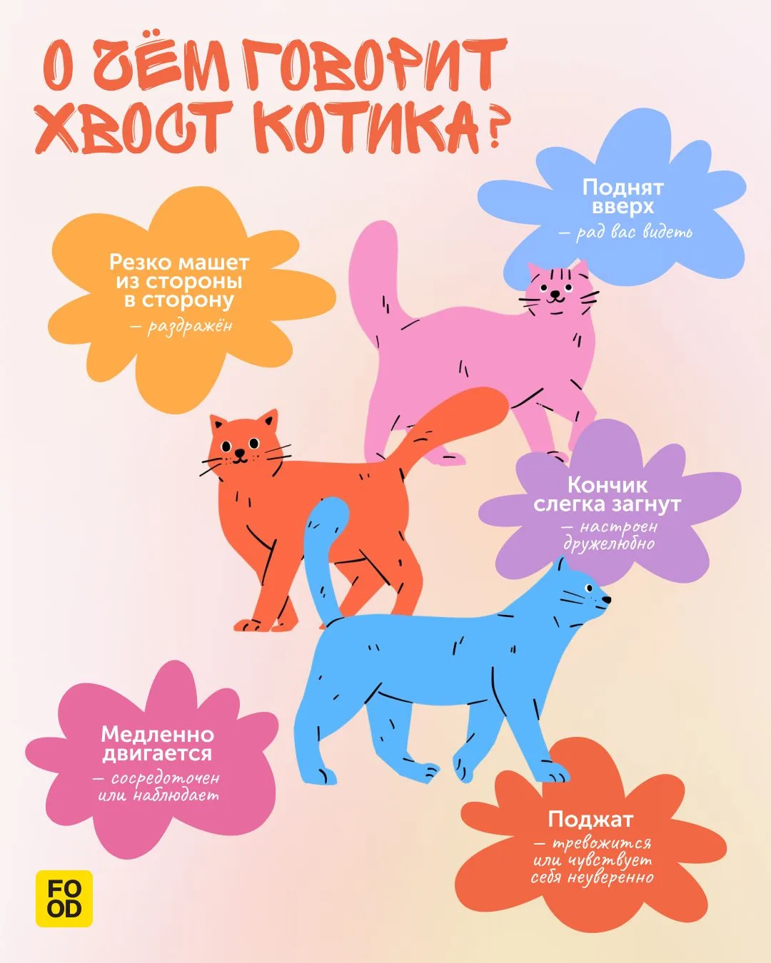 Кошачий язык — это не только привычные нам «мяу-мяу», но и язык тела, а точнее — хвоста 🐈
