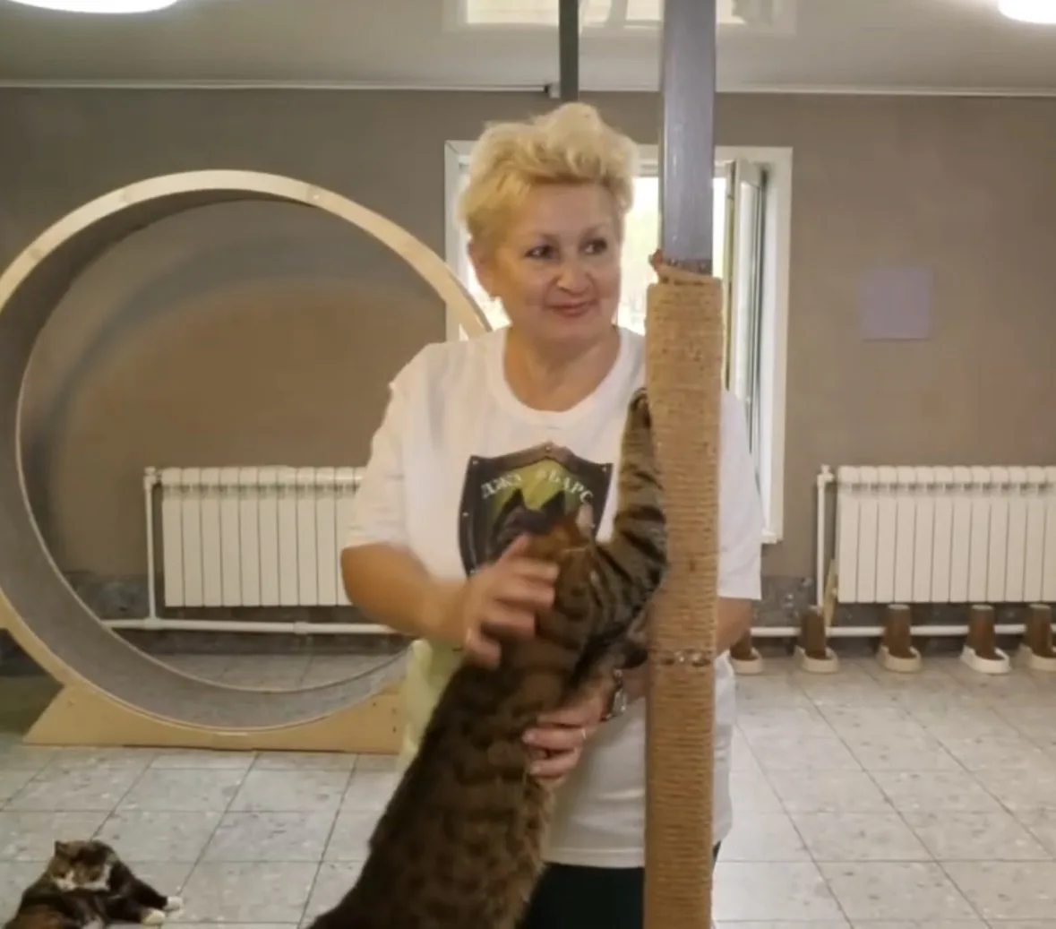 У наших котиков есть своя повелительница. И сегодня у неё день рождения! 🎂