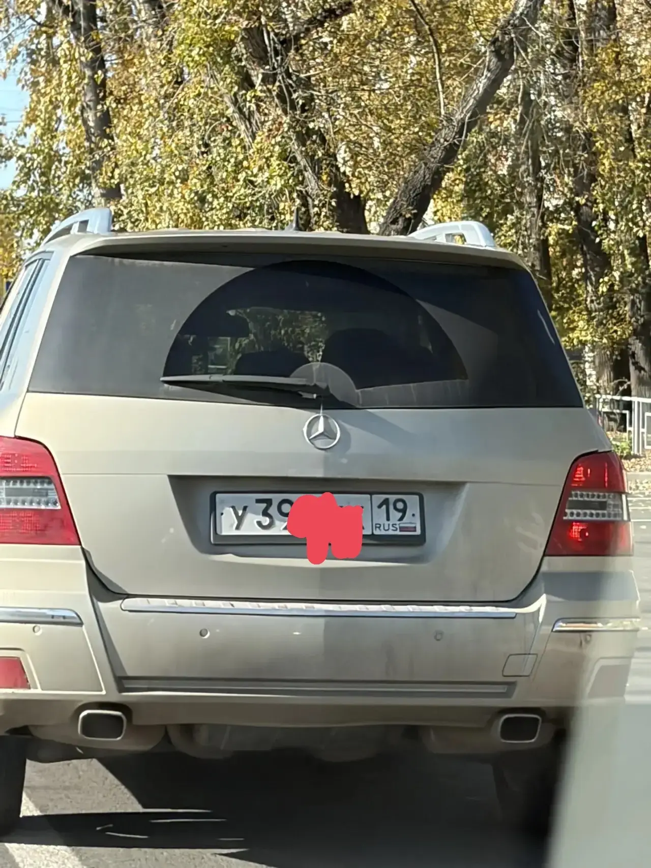 От участника: Жукова Ипподромная.
