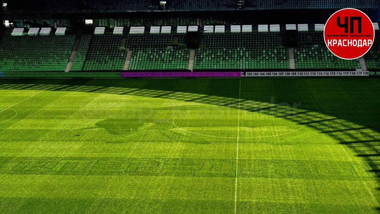 ⚽️ «Краснодар» может сорвать матч с «Зенитом» из-за быка на газоне