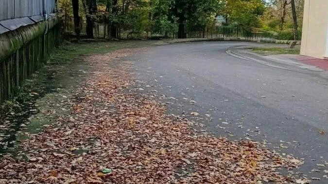 🧹 В Люблино жители жалуются на неубранную территорию усадьбы
