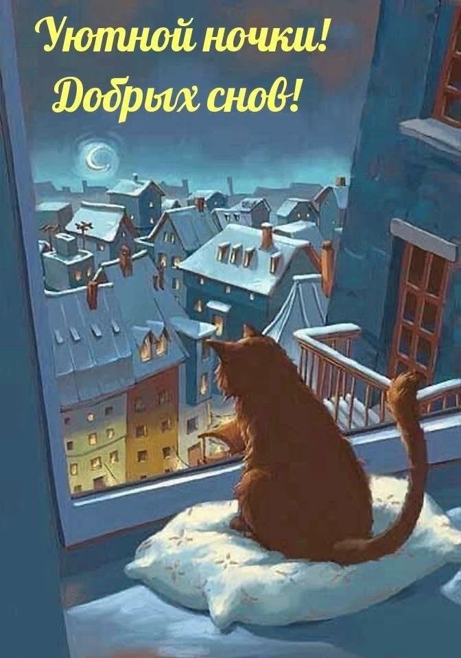 #спокойнойночи