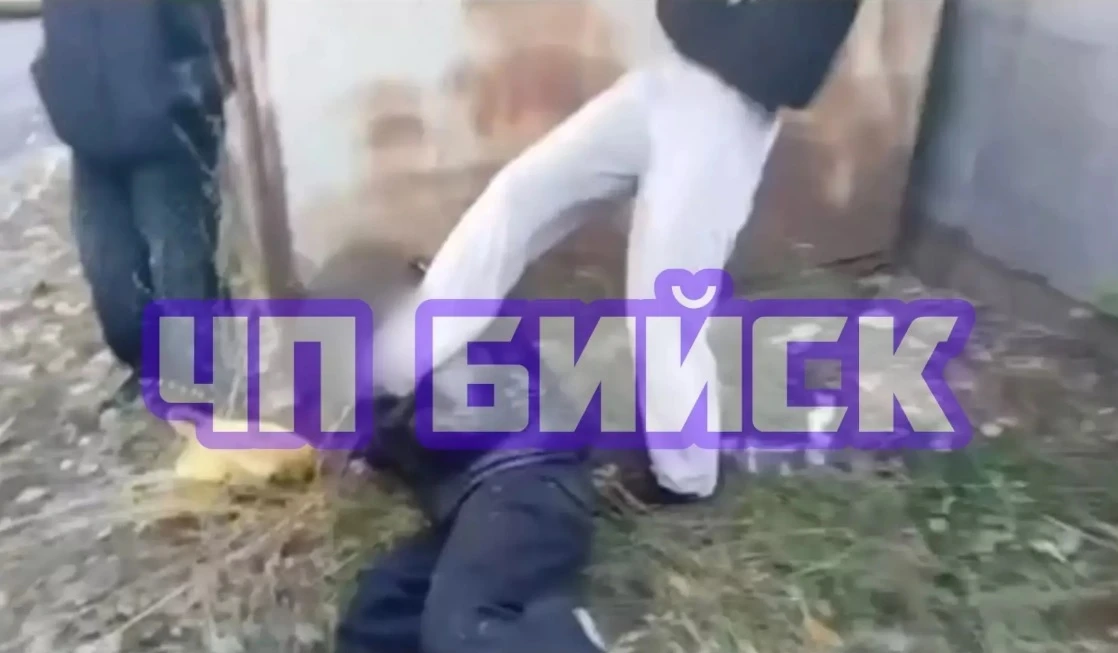 ‼ В Бийске школьники избили сверстницу, возбуждено уголовное дело