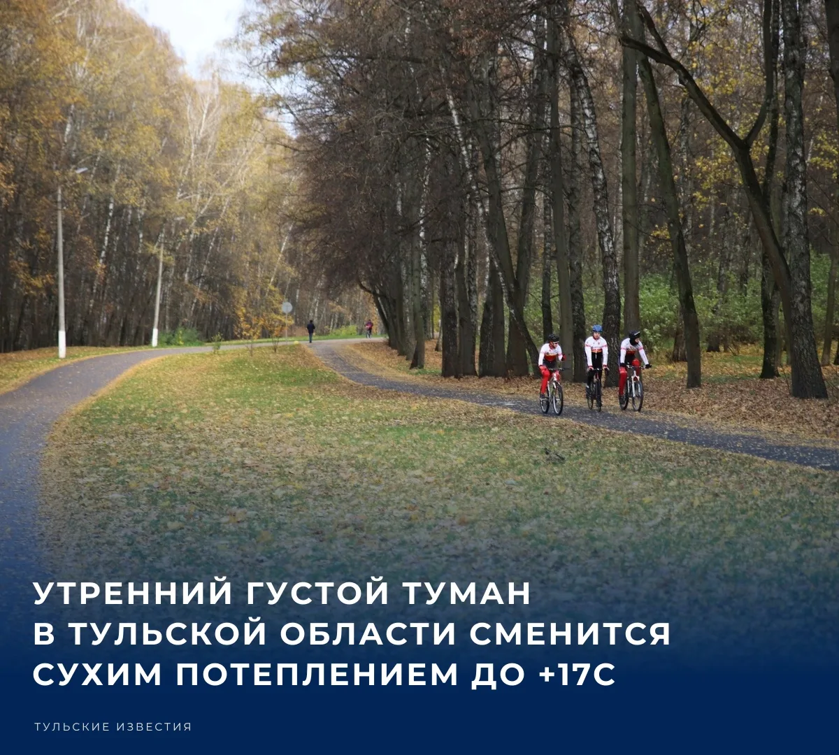 🌫 Туманное тепло октября​