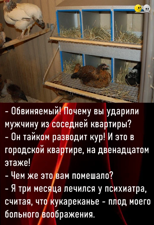 Не дайте будням стать слишком серьёзными. Вот вам доза смеха для баланса! ⚖️😅