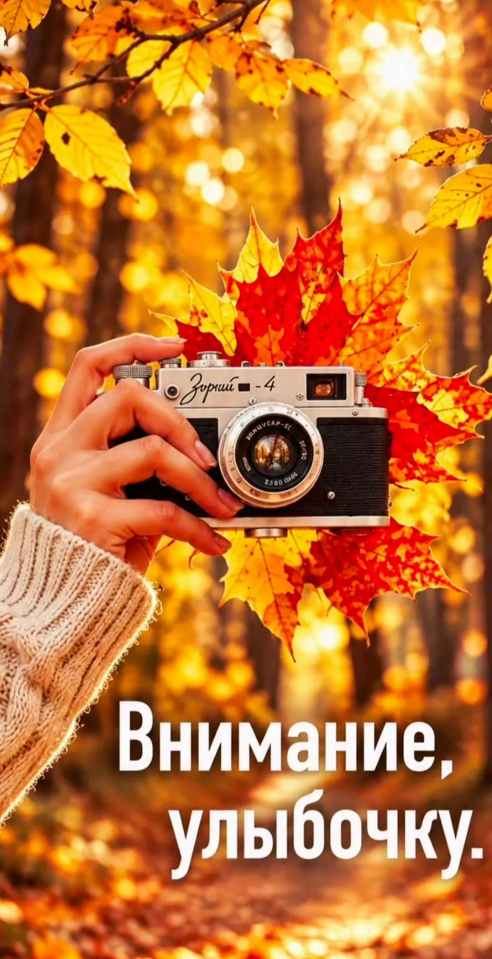#обои #обои_для_девушек