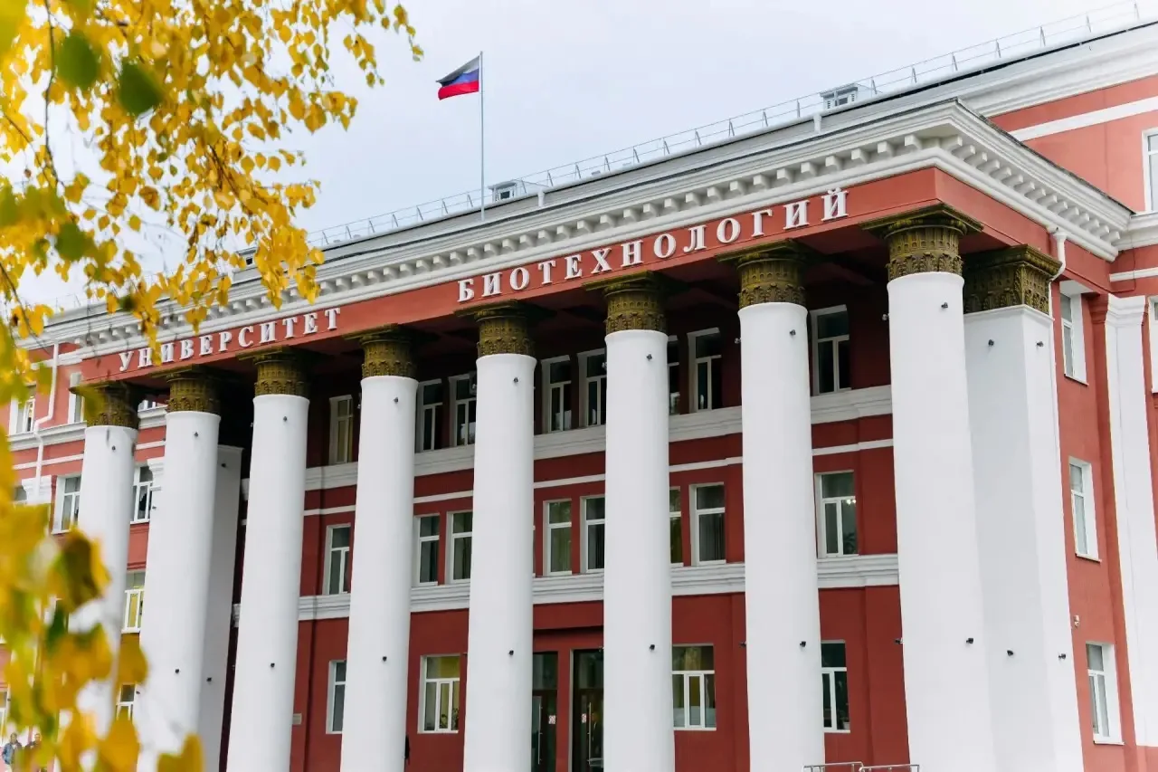 8 октября. Дождь, холодно и очень по-осеннему 🍂