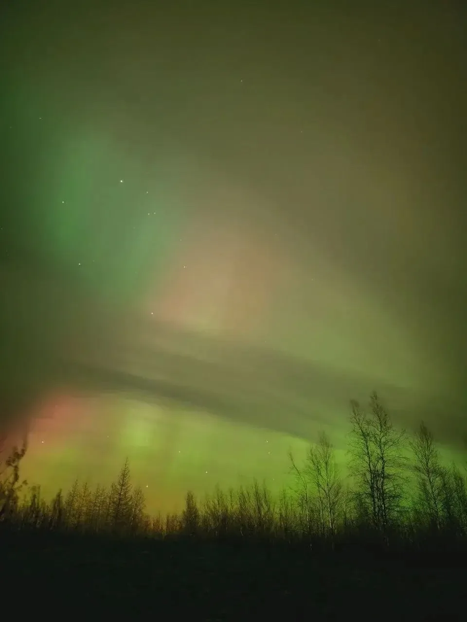 Ямал этой ночью сияет 💚✨