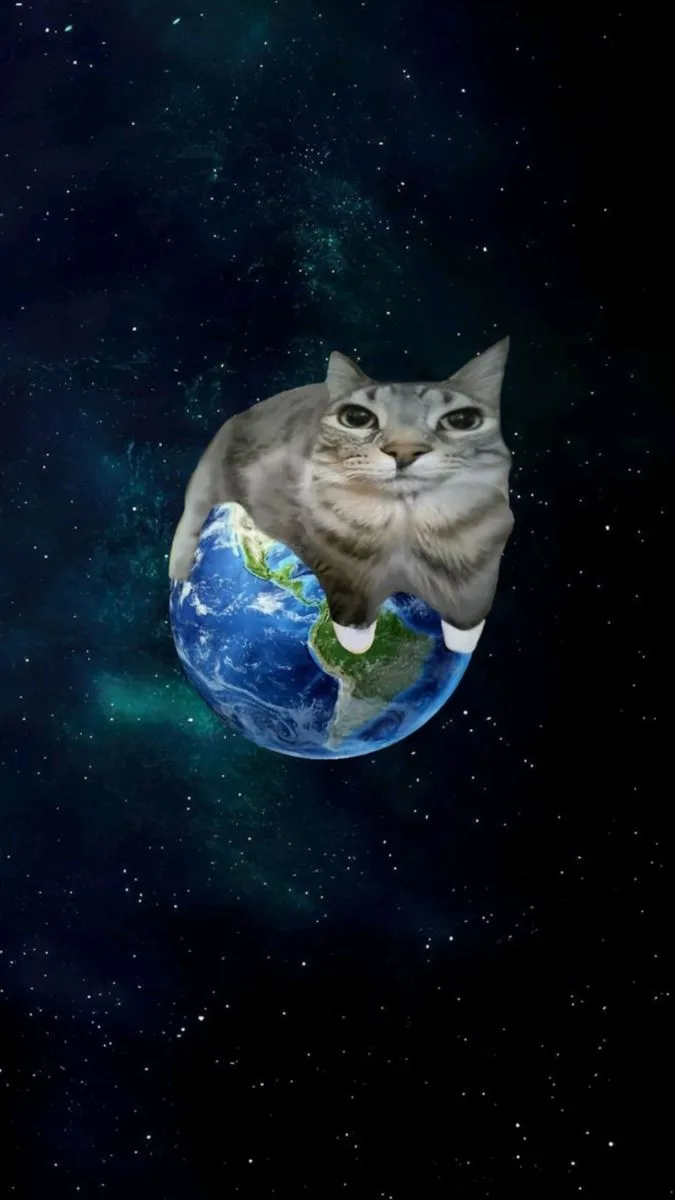 ✧°˖ . ݁˖ⲟⳝⲟυ ⲥ ⲙⲉⲙⲏыⲙυ ⲕⲟⲧⲁⲙυ˖✧