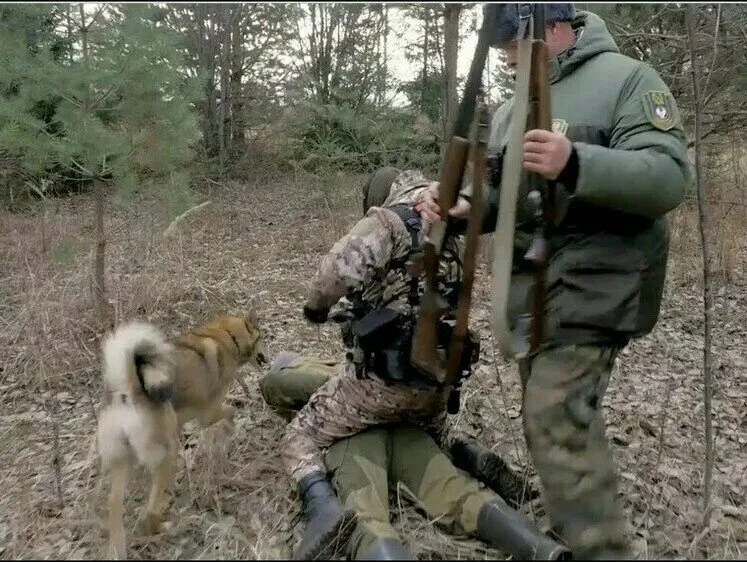 Цена медведя