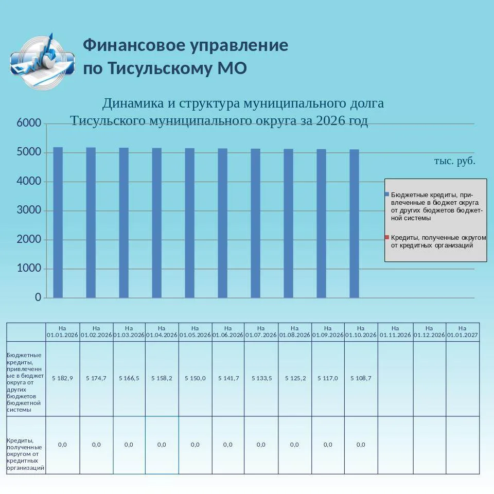 👉 Динамика и структура муниципального долга Тисульского муниципального округа за 2026 ...
