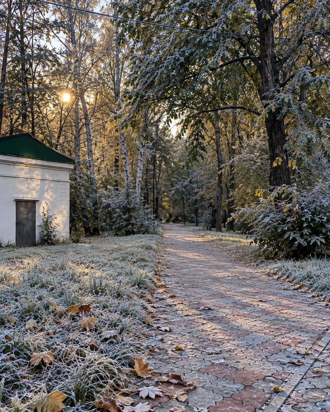 🥶 Первые заморозки приходят в Комсомольск-на-Амуре