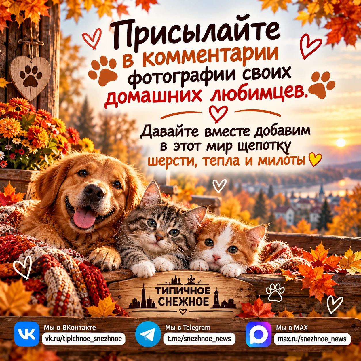 🐾 Присылайте в комментарии фотографии своих домашних любимцев. 🐾