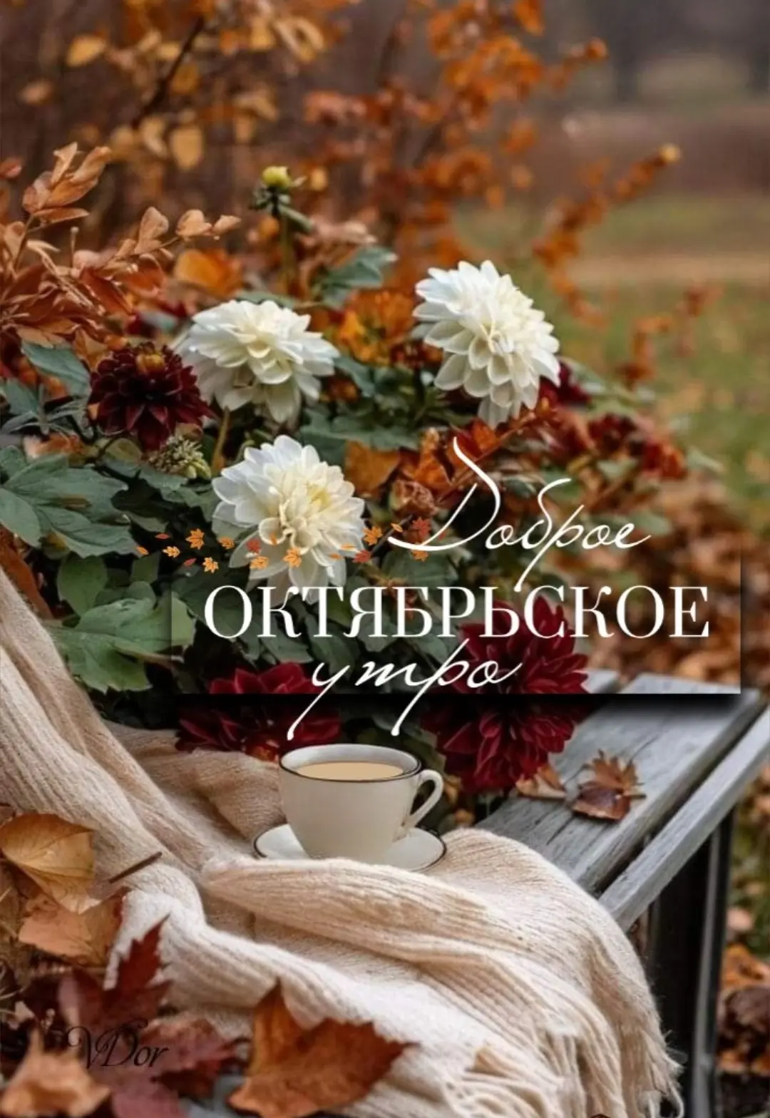 Доброе утро, дорогие подписчики! 💛 Пусть эта среда, 14 октября, будет уютной и спокойн...