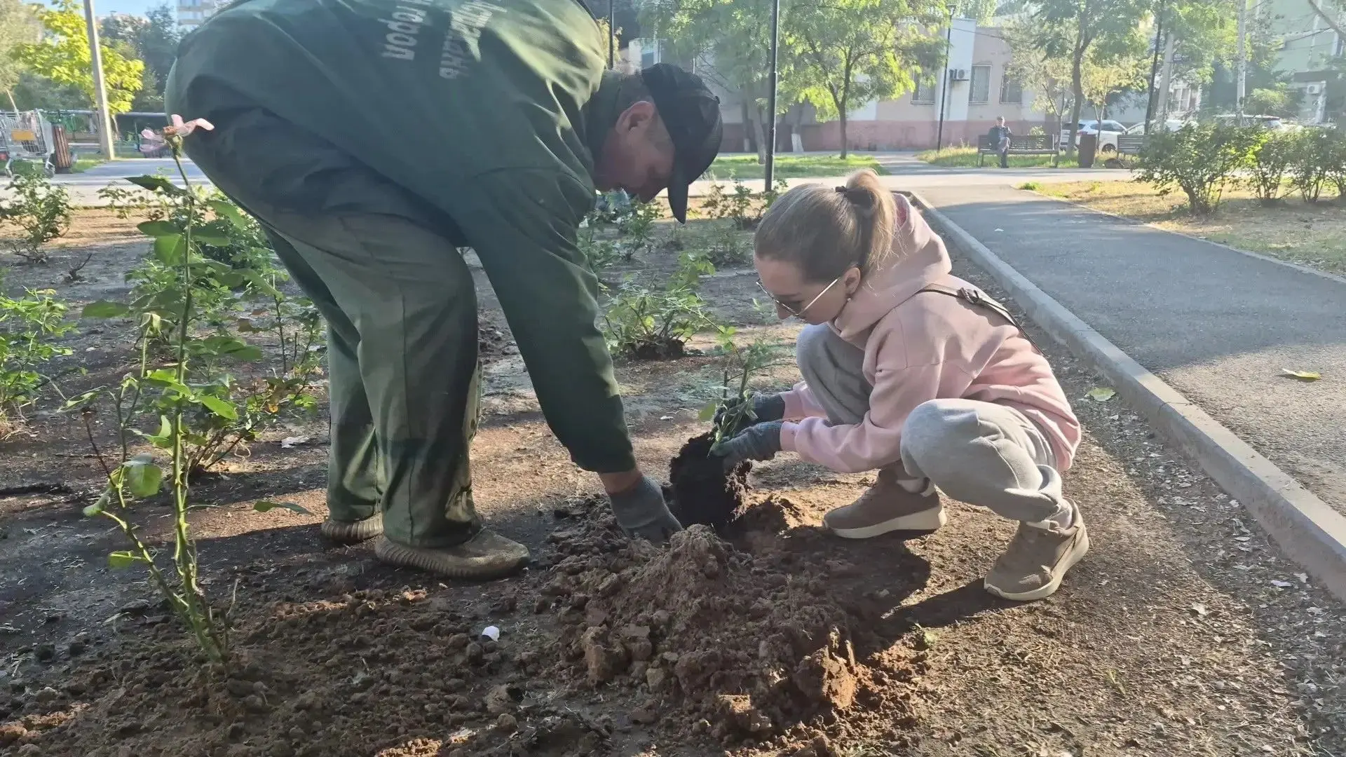 На бульваре Энергетиков в Астрахани высадили розы