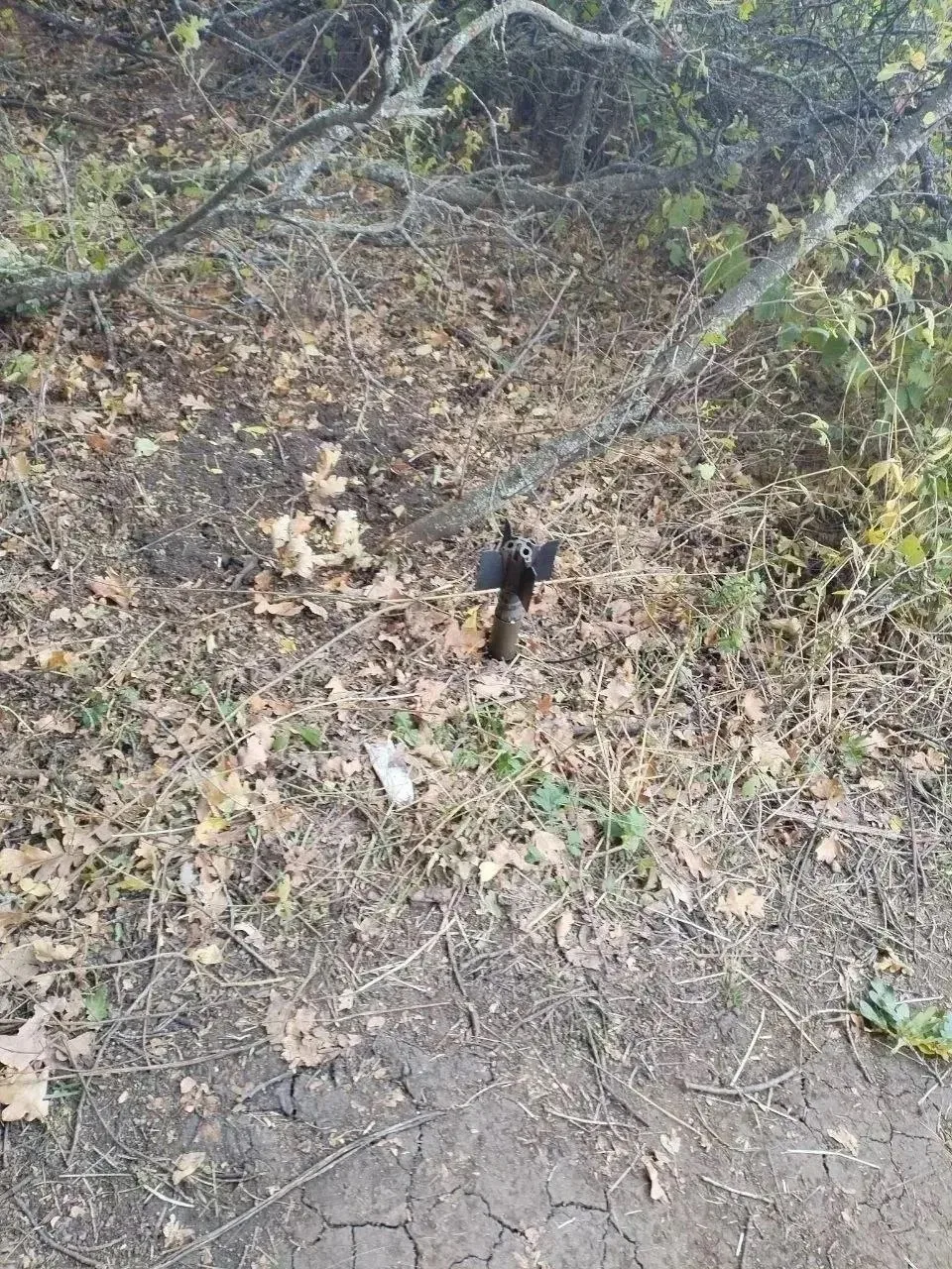 Из присланного: