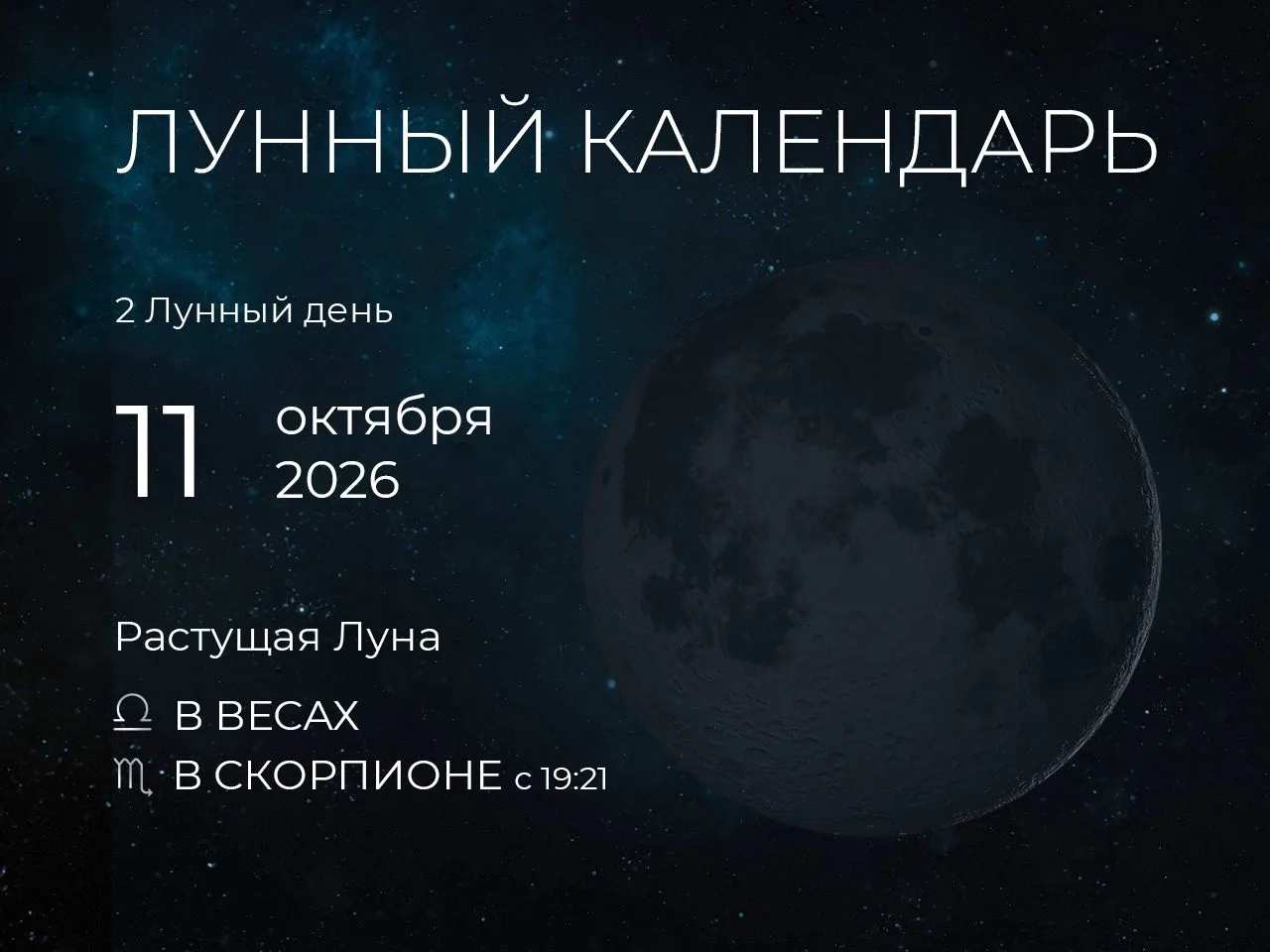 📆 Рекомендации дня: