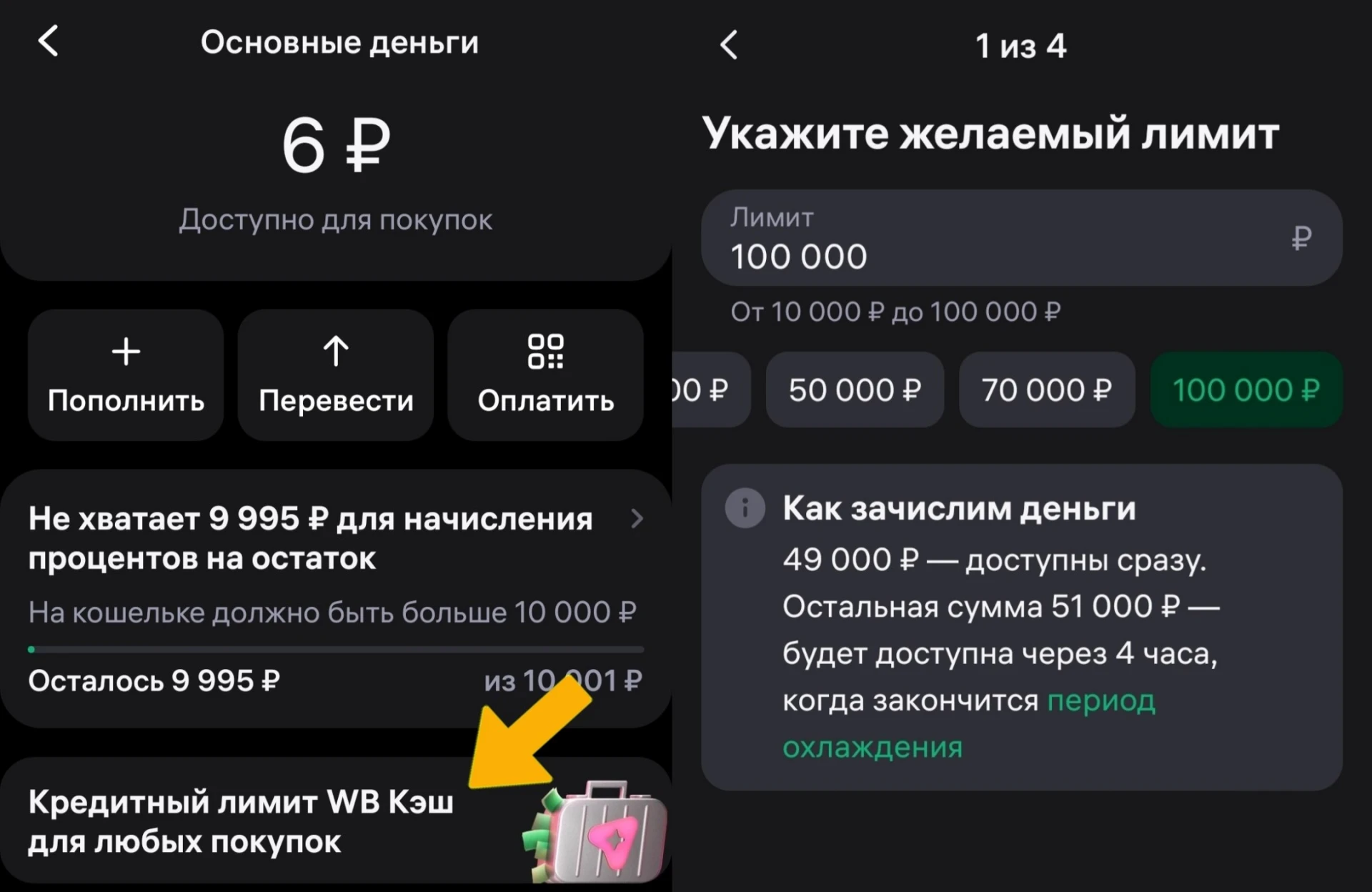 🛍 WB Кэш с льготной обналичкой для стузинга