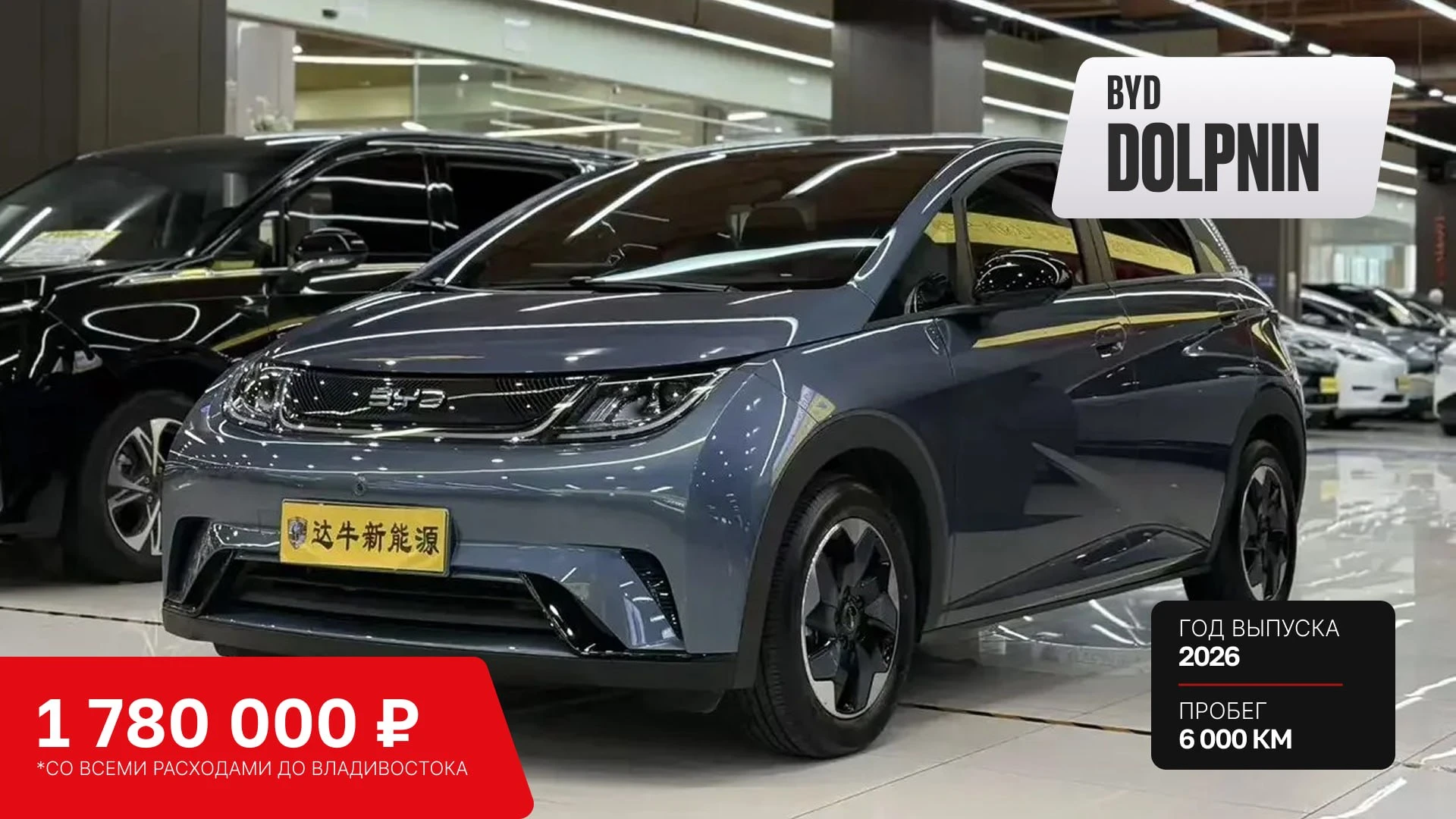 BYD Dolphin в комплектации 420KM Freedom Edition | Из Китая🇨🇳