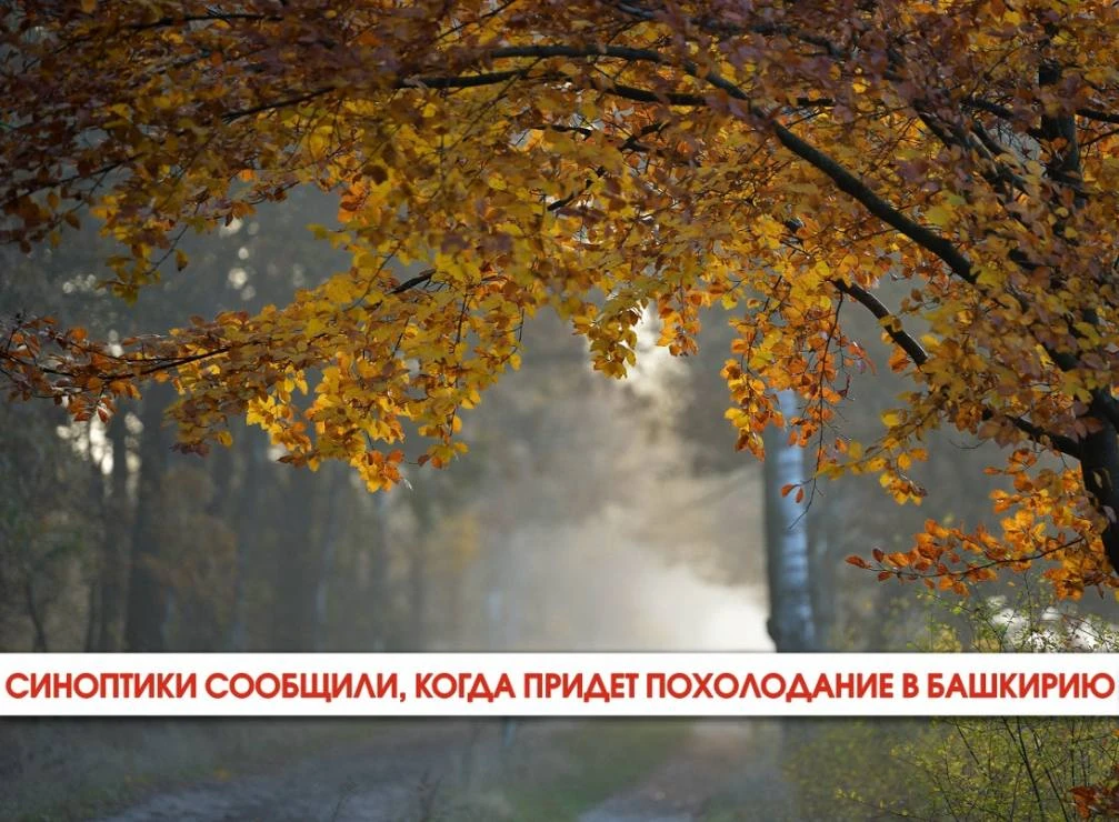 📢 Синоптики сообщили, когда придет похолодание в Башкирию.