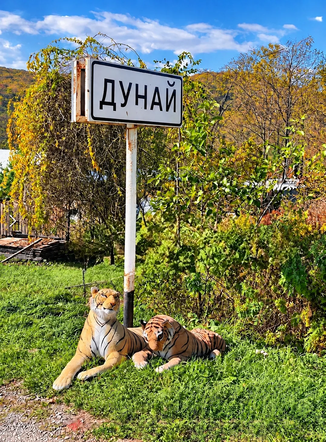 🐅 В Приморье два «тигра» взяли под охрану посёлок Дунай! 😄