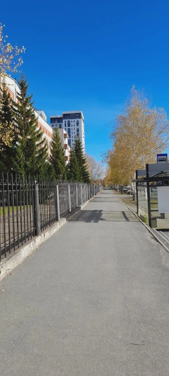 ☀️ Немного прогулки по дороге