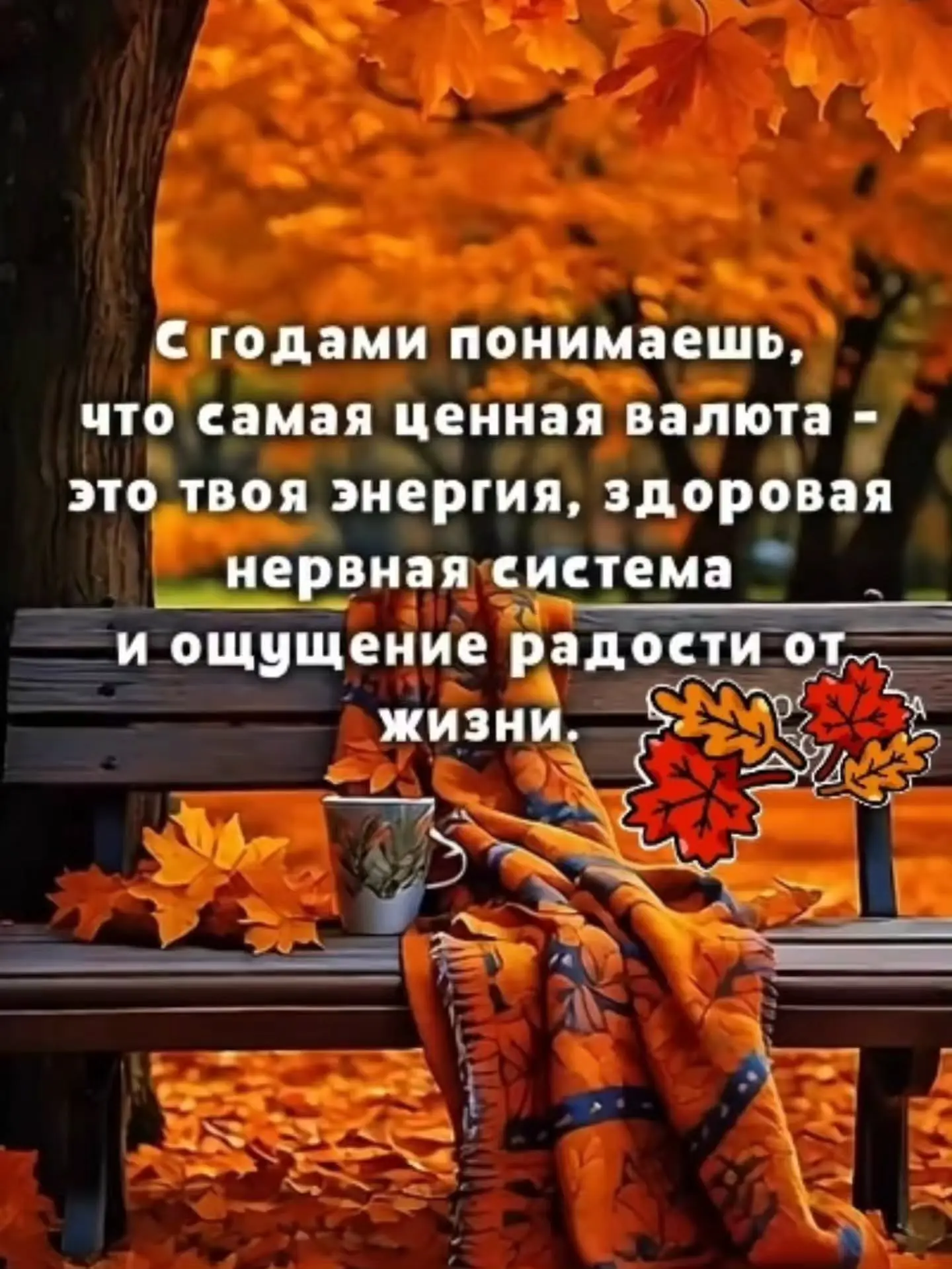 Доброе утро всем!