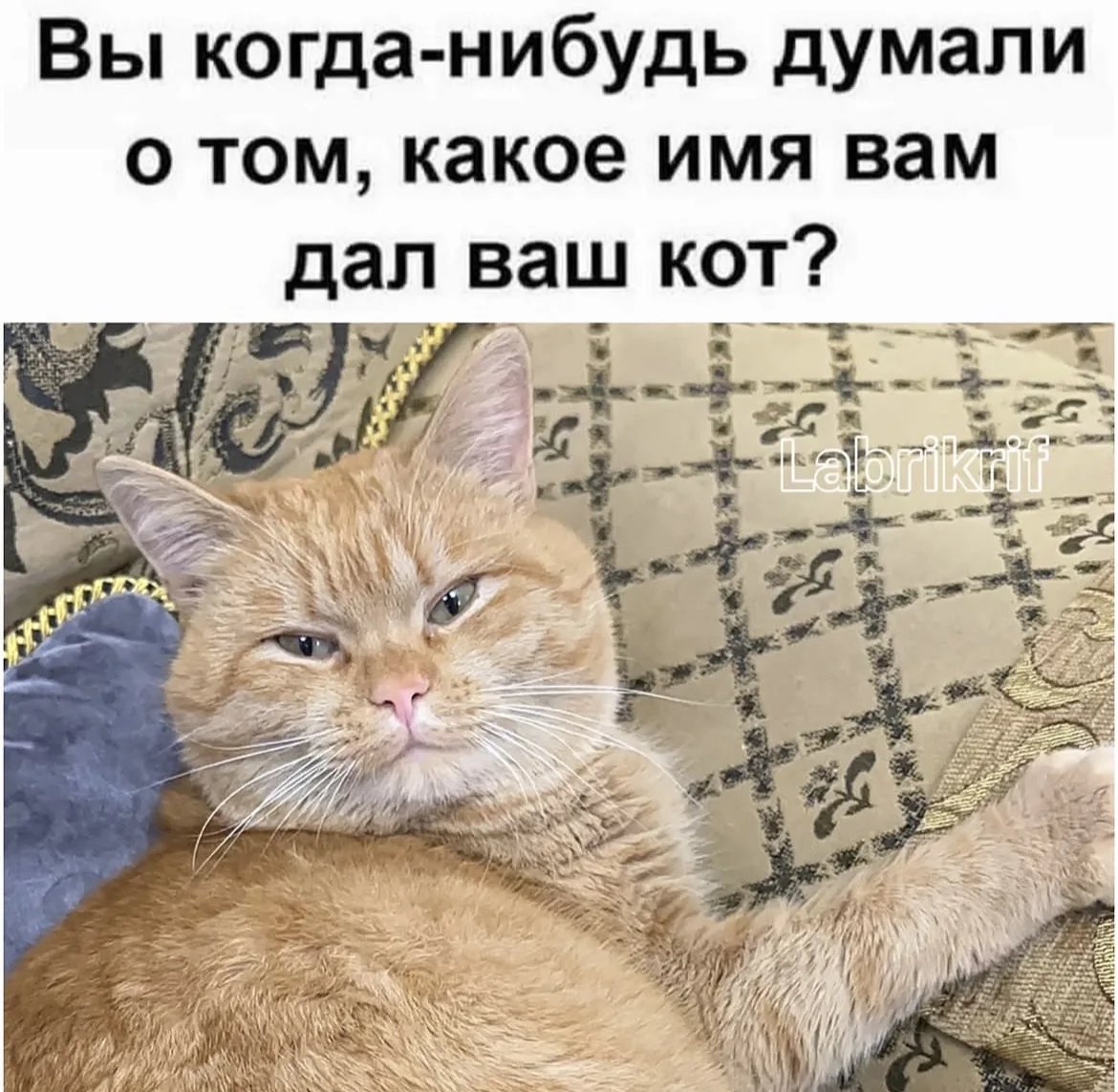 Вопрос на засыпку