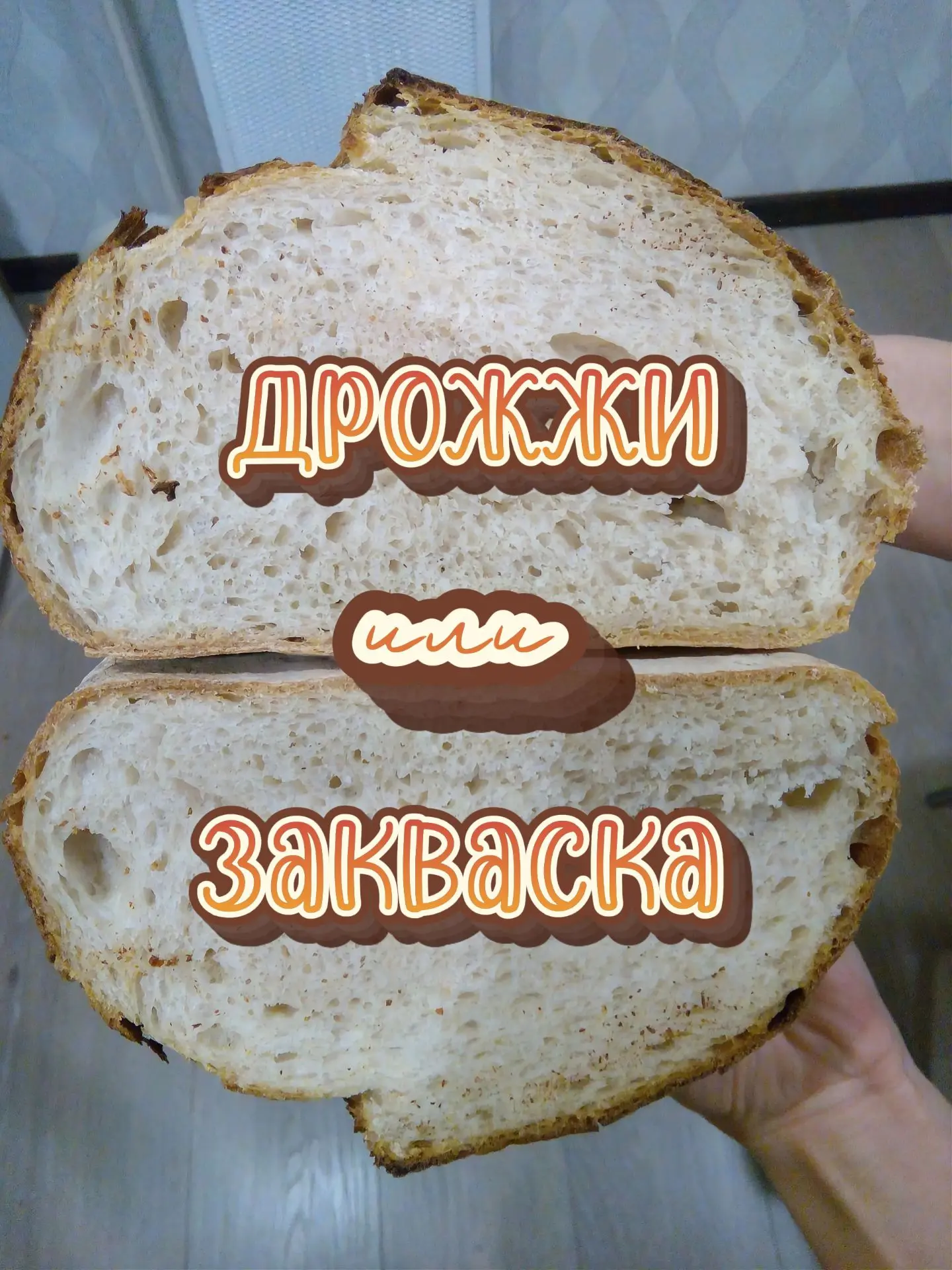 🥖 Чем закваска отличается от дрожжей из пакетика? А может, они вообще одно и то же?