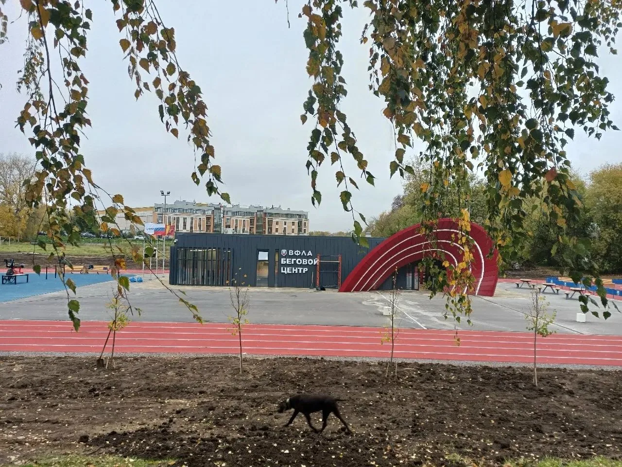🏃‍♂️ фото бегового центра Тверь.