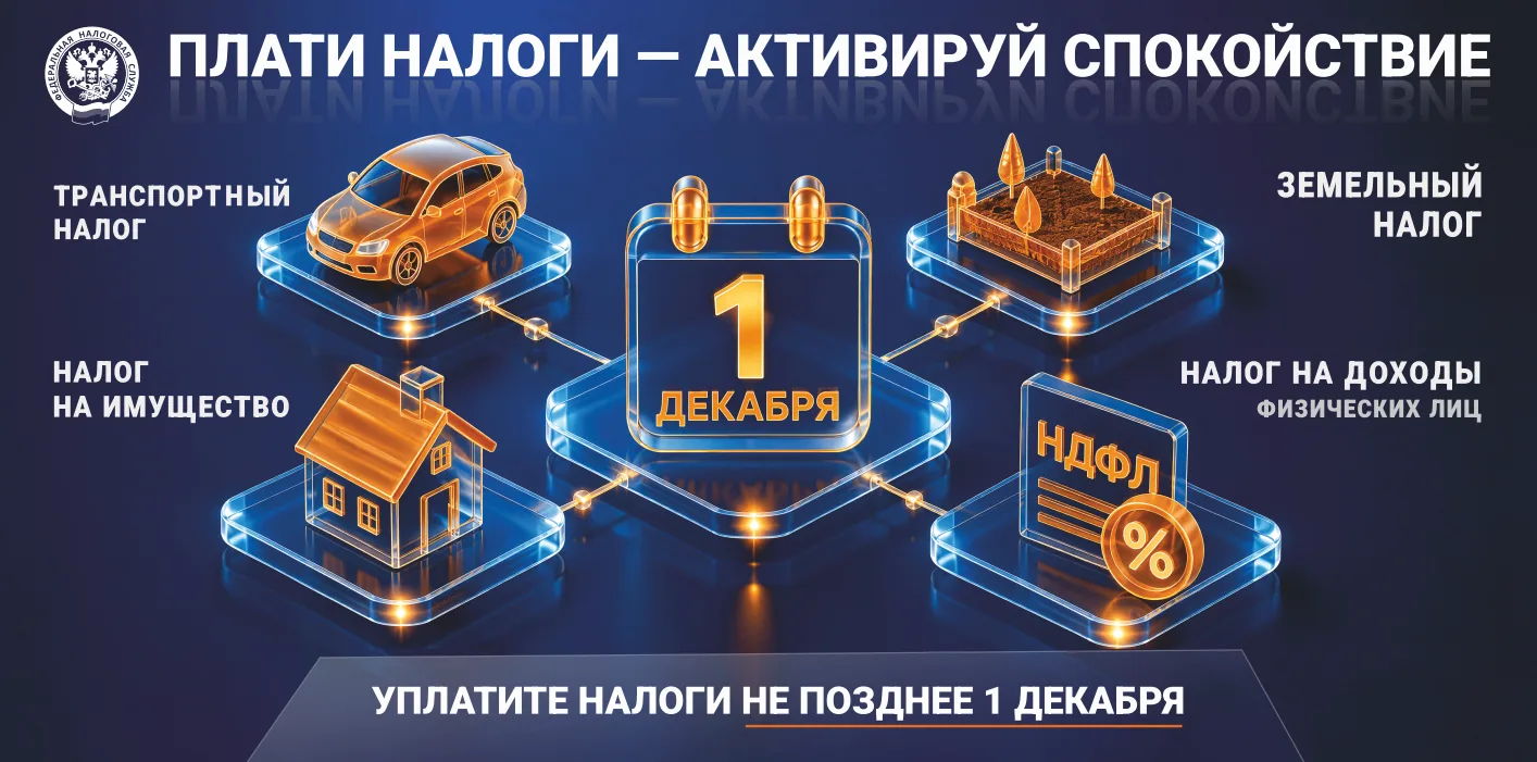 В Белгородской области идёт массовая рассылка налоговых уведомлений физическим лицам дл...