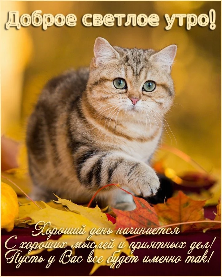 Красивые открытки❤️