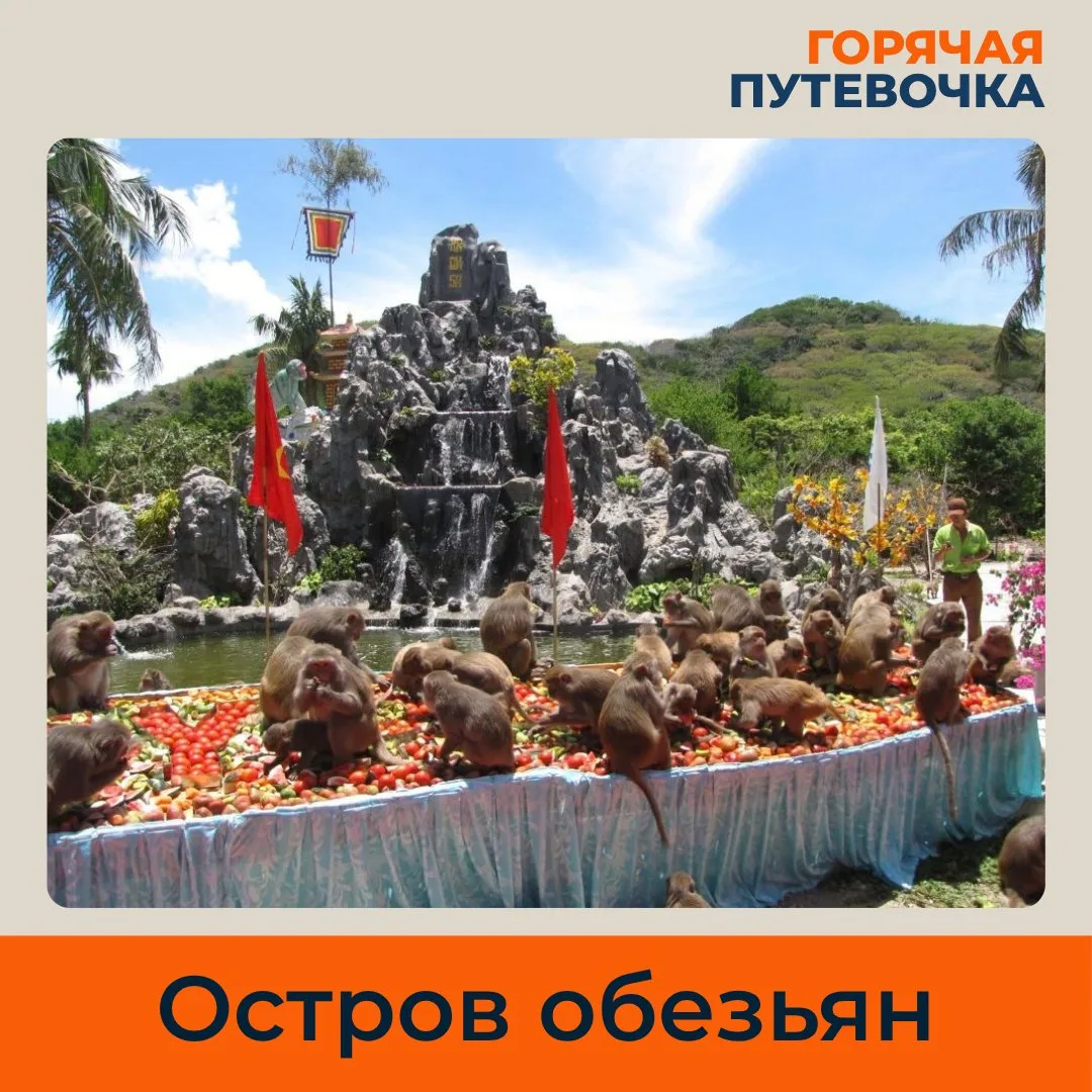 🇨🇳 Чем заняться на Хайнане, кроме пляжа?