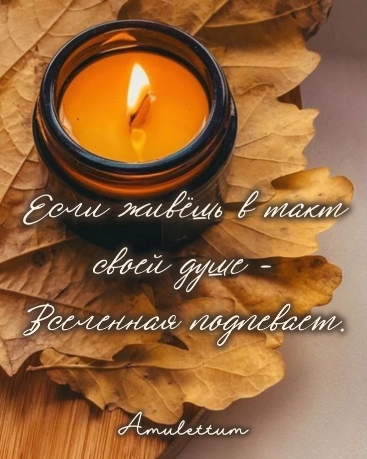 https://max.ru/invista123456