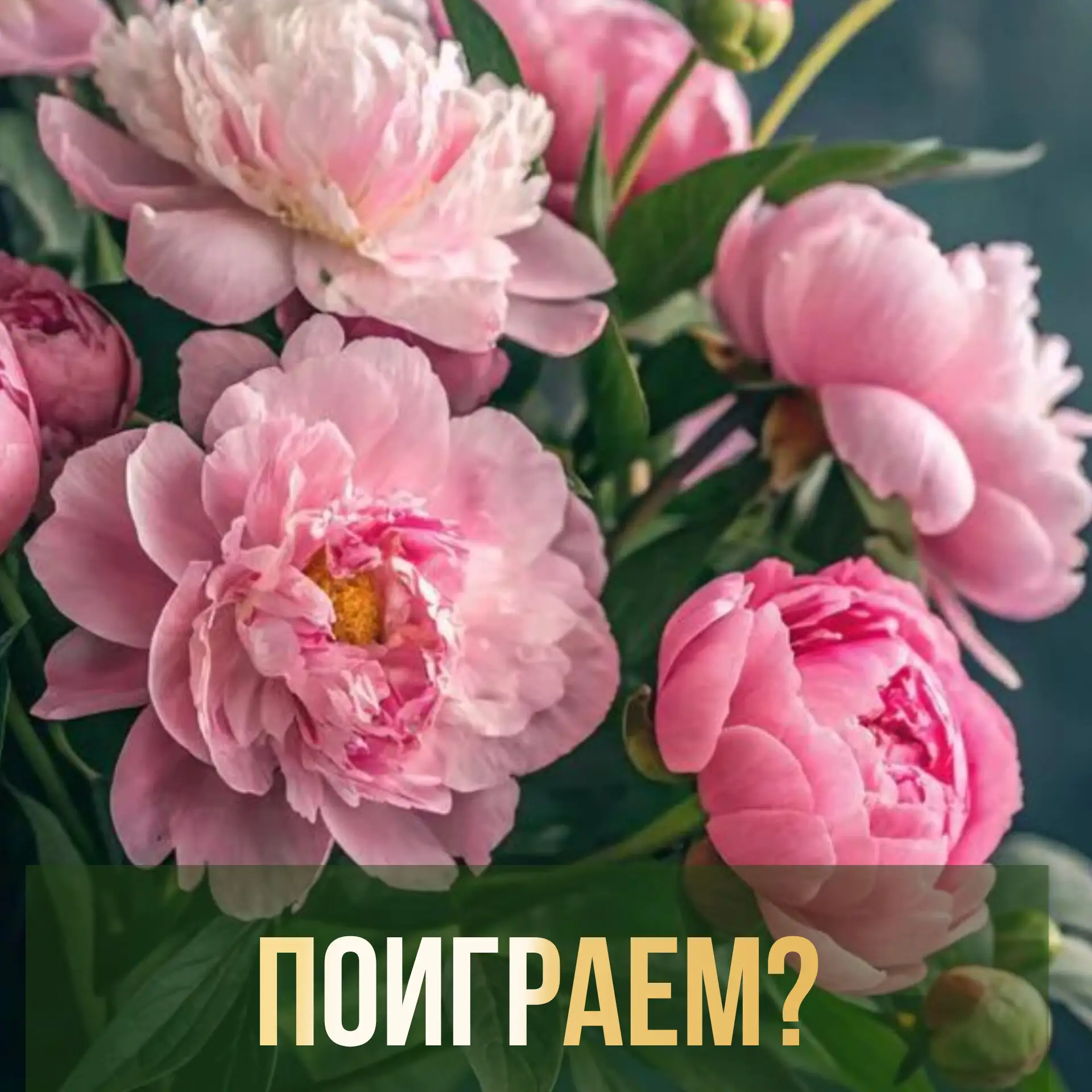 Загадаем одну вещь, дадим 3 подсказки😉
