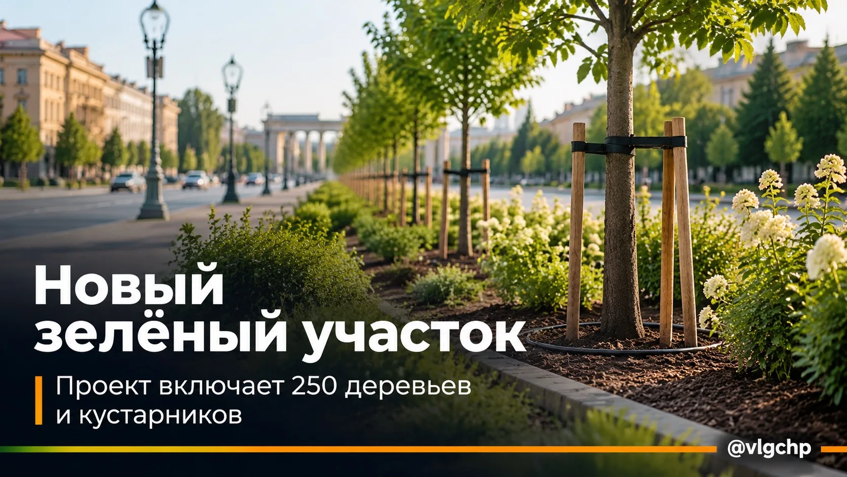 🌳 Центр Волгограда хотят сделать зеленее.