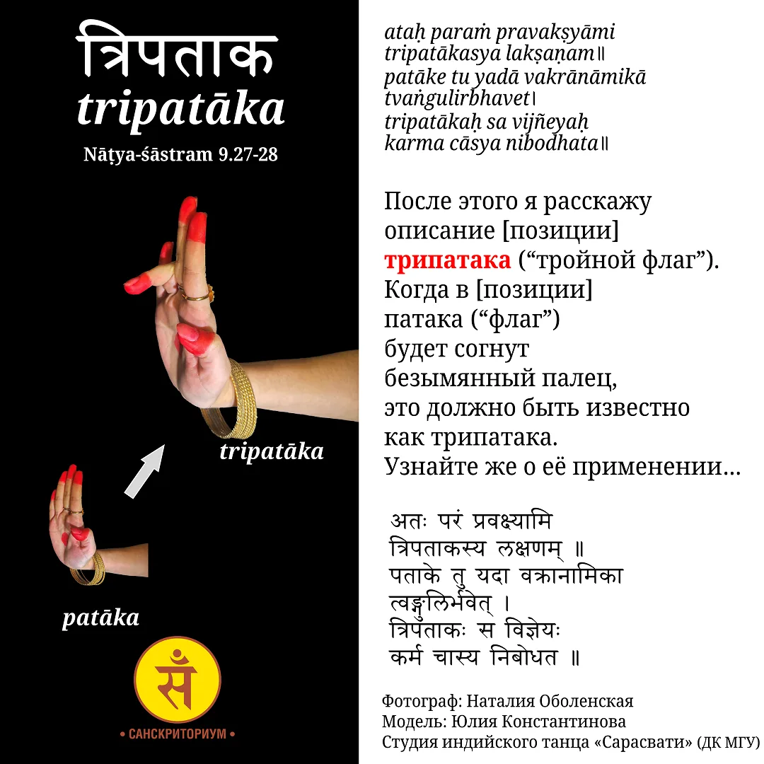 ЖЕСТ ТРИПАТАКА: ОПИСАНИЕ