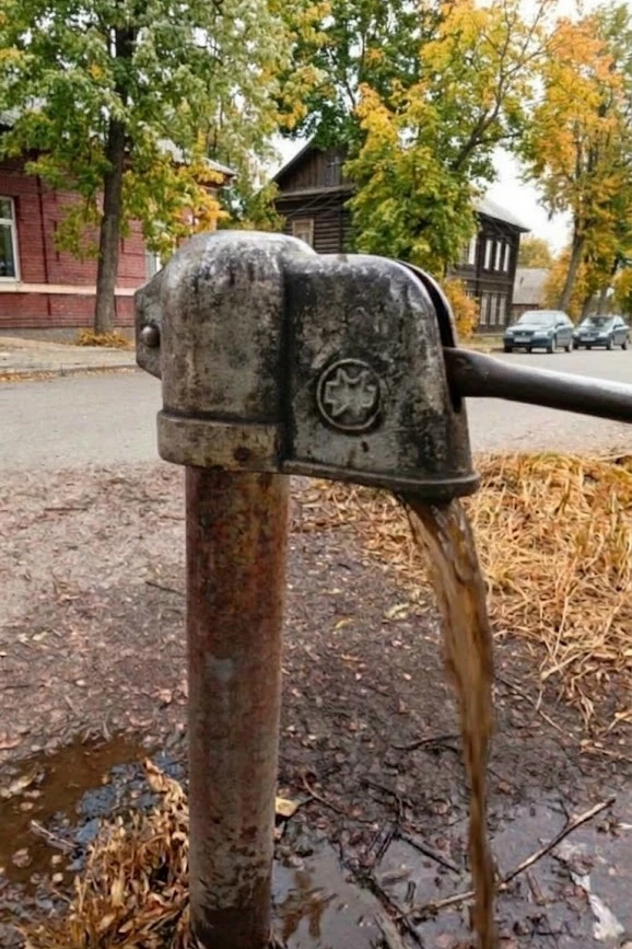 - От читателя